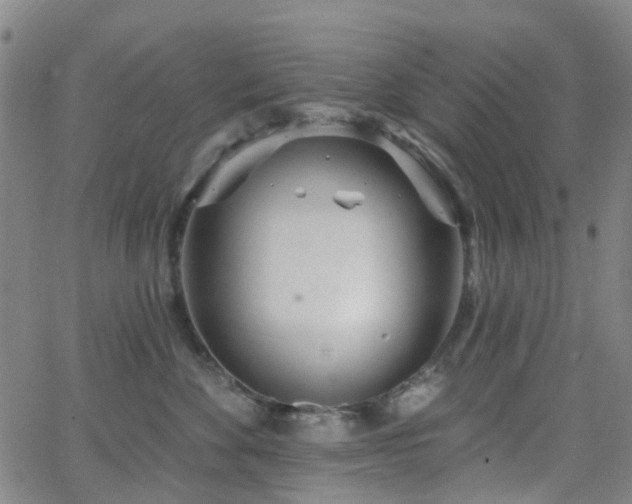 X0000063450524200601201223