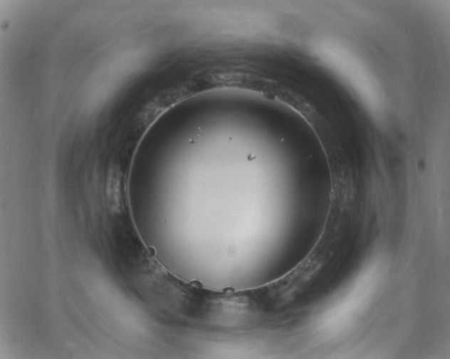 X0000063450525200601201223