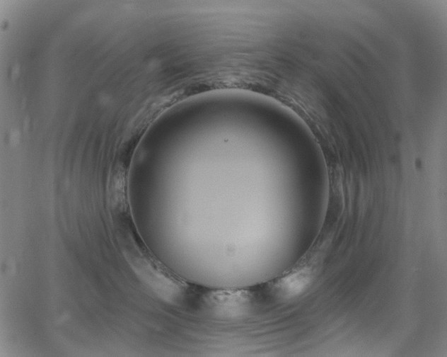 X0000063450526200601201223