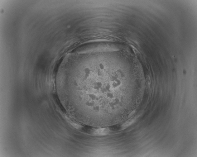 X0000063450527200601201223