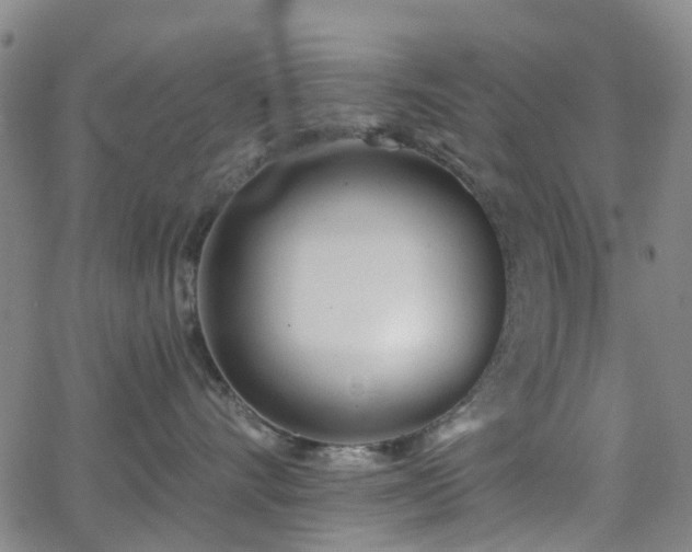 X0000063450528200601201223