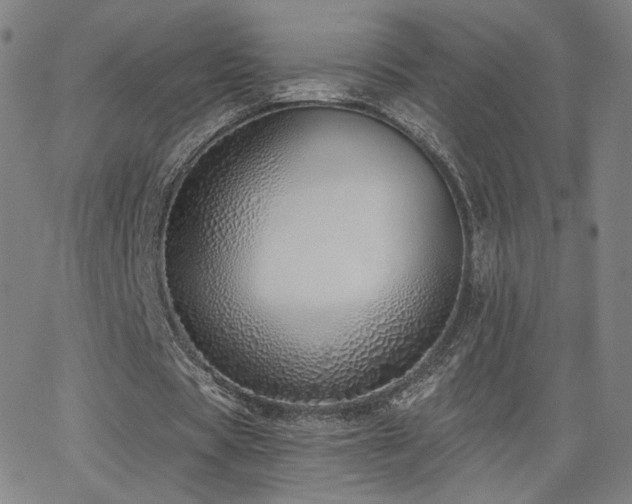 X0000063450529200601201222