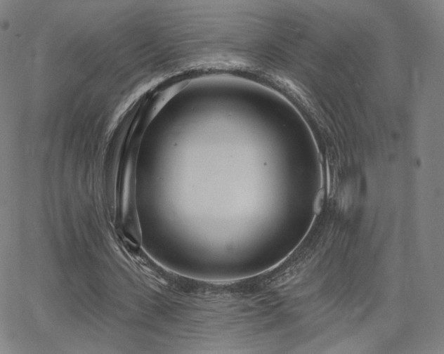 X0000063450531200601201222