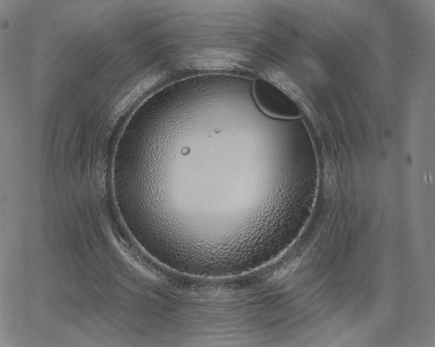X0000063450533200601201222