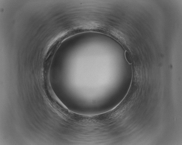 X0000063450535200601201222