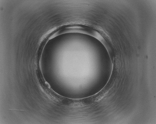 X0000063450536200601201223