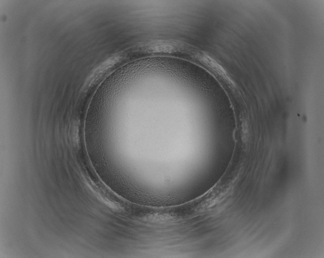 X0000063450537200601201223