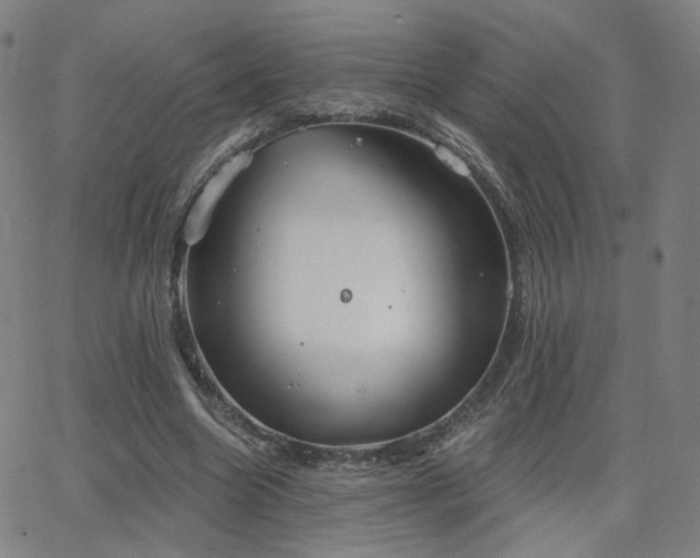 X0000063450538200601201223