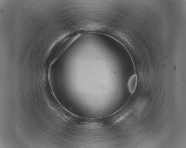 X0000063450539200601201223