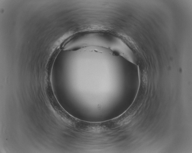 X0000063450540200601201223