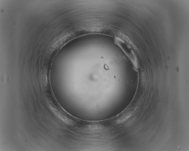 X0000063450541200601201223