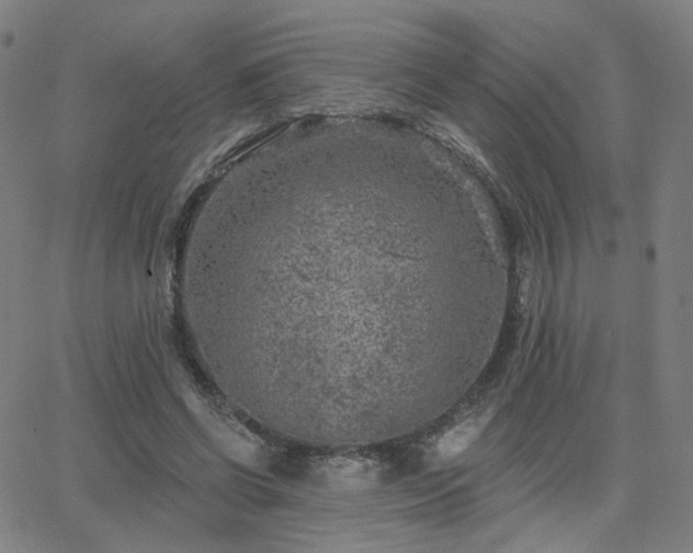 X0000063450542200601201223