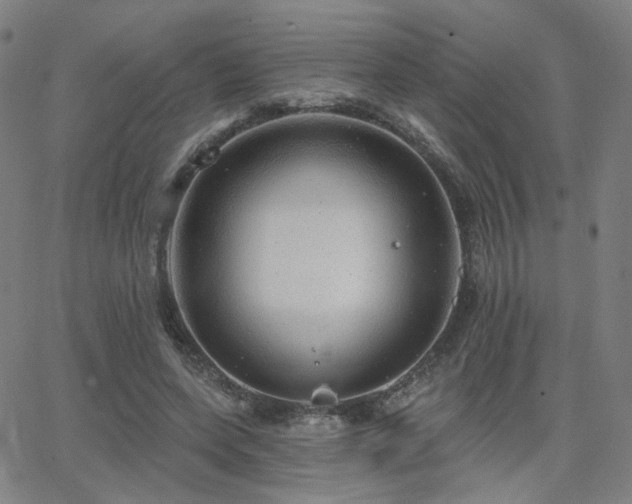 X0000063450543200601201223