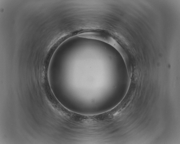 X0000063450544200601201223