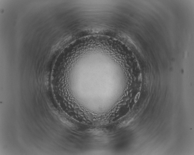 X0000063450545200601201223