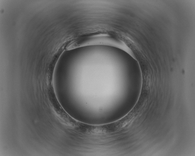 X0000063450546200601201223