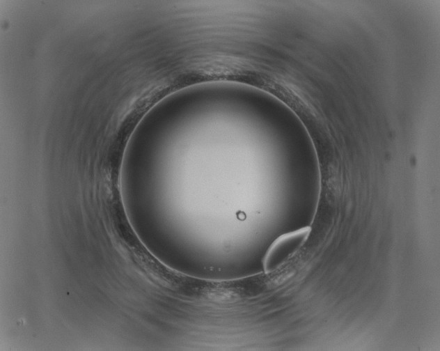 X0000063450547200601201223