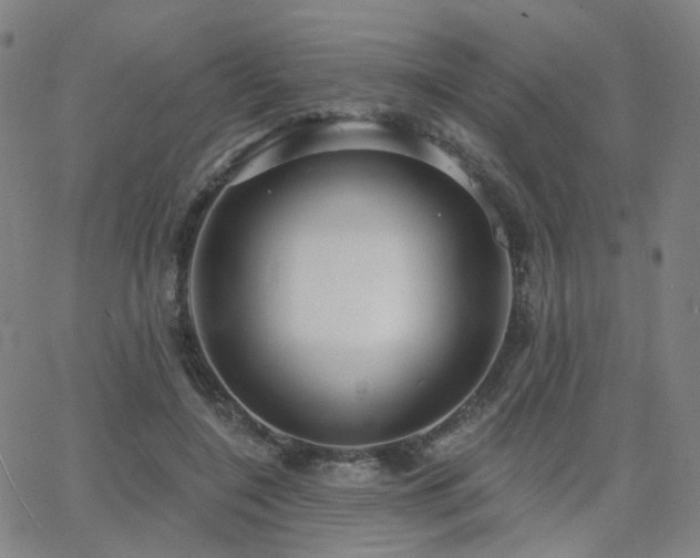 X0000063450548200601201223