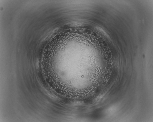 X0000063450549200601201223