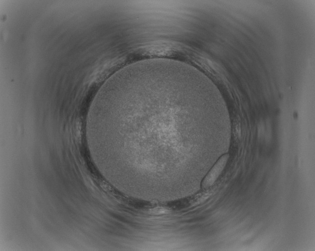 X0000063450551200601201223