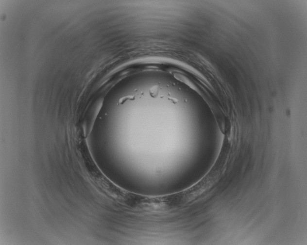 X0000063450552200601201223