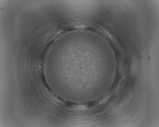 X0000063450553200601201223