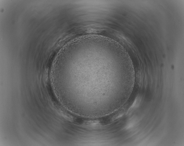 X0000063450554200601201223