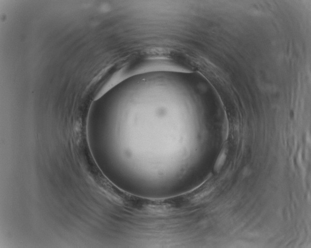 X0000063450556200601201223