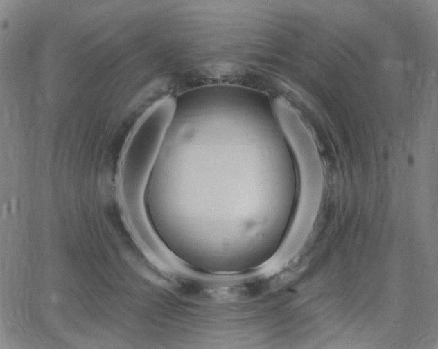 X0000063450558200601201223