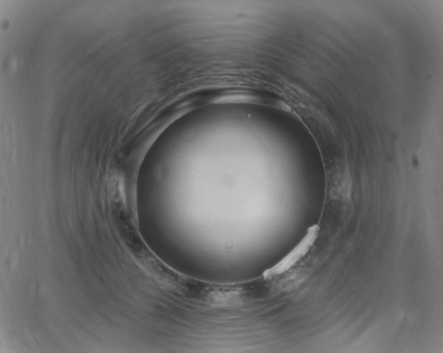 X0000063450560200601201223