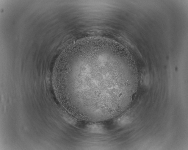 X0000063450561200601201223