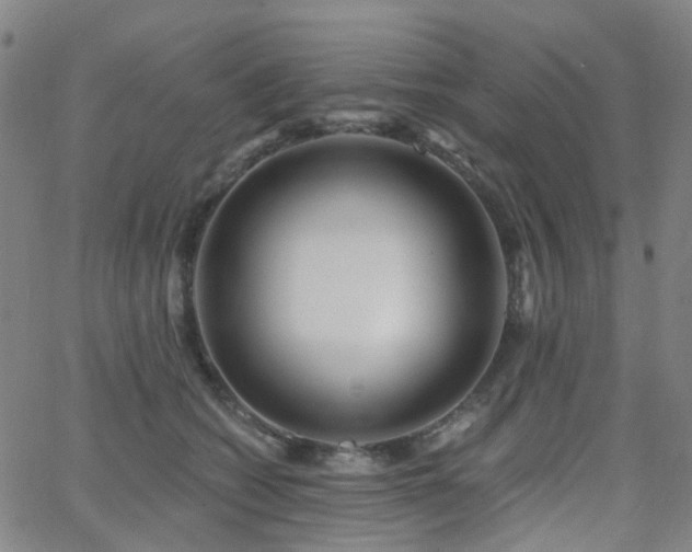 X0000063450562200601201223