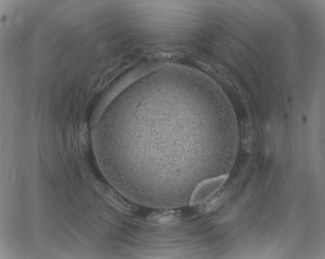 X0000063450563200601201223