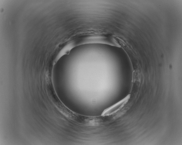 X0000063450564200601201223