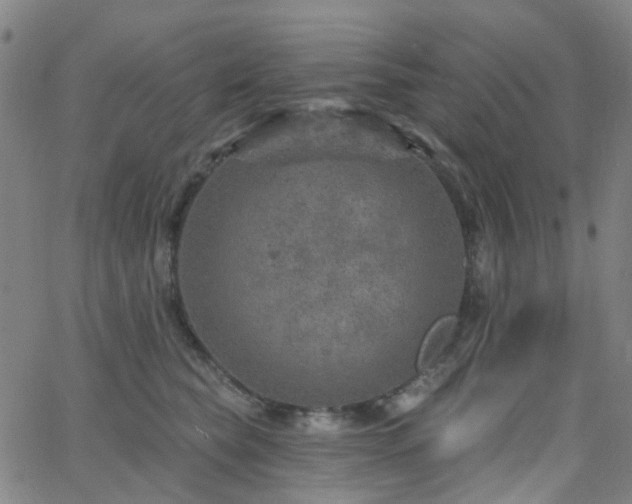 X0000063450565200601201223