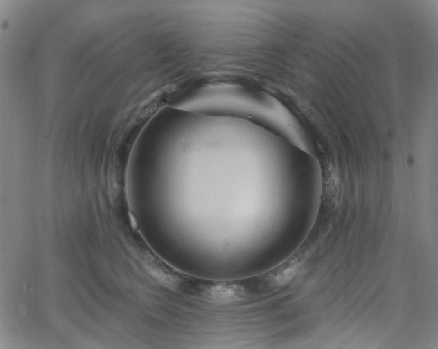 X0000063450566200601201223