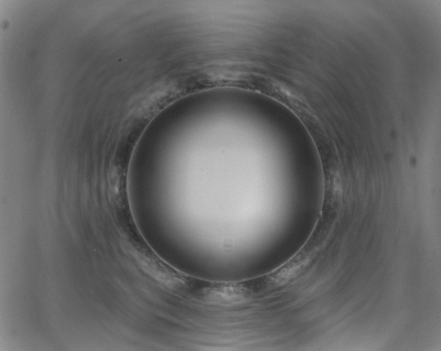 X0000063450567200601201223