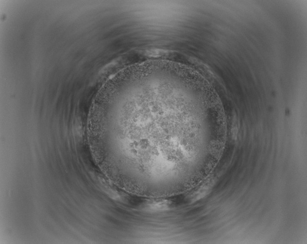 X0000063450569200601201223