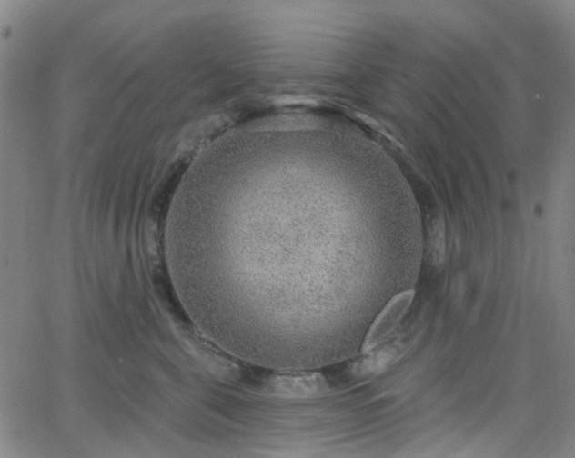 X0000063450571200601201223