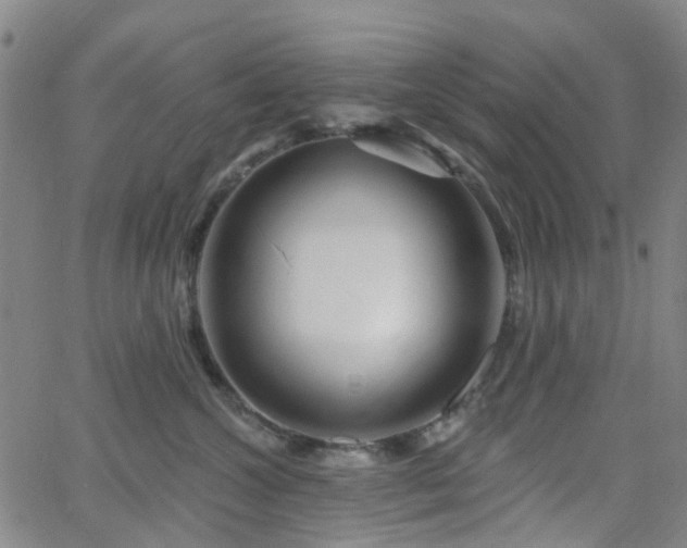 X0000063450572200601201223