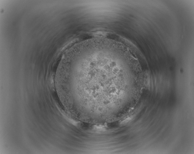 X0000063450573200601201223