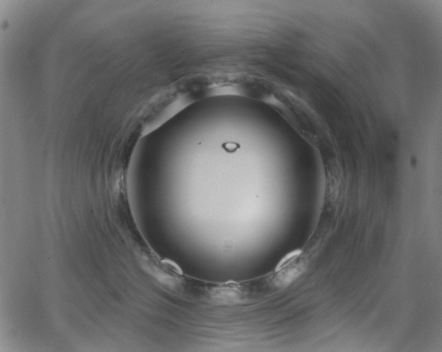 X0000063450574200601201223