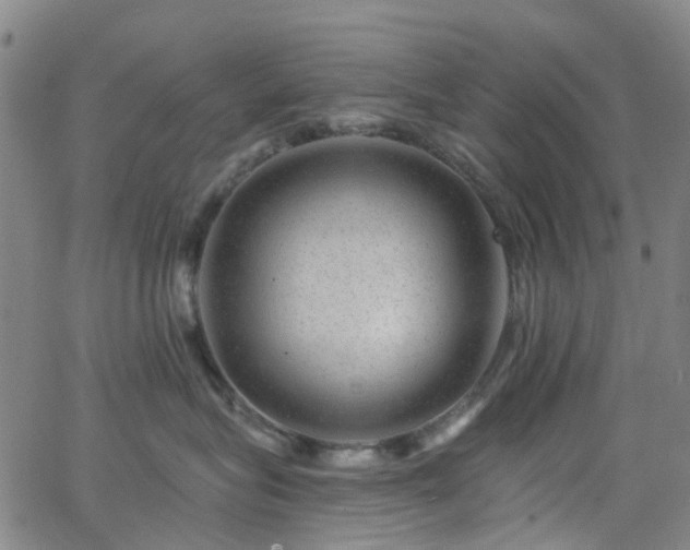 X0000063450575200601201223