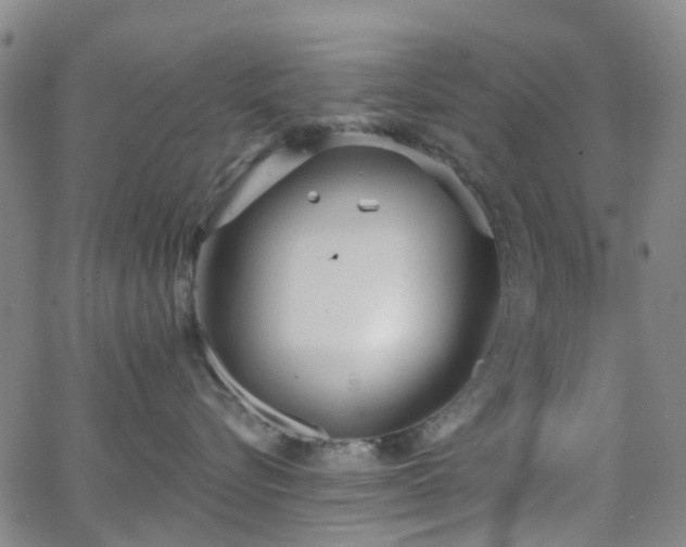 X0000063450576200601201223