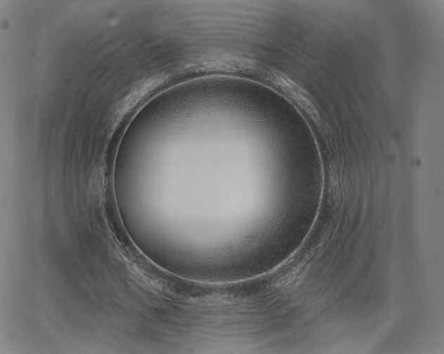 X0000063450578200601201222