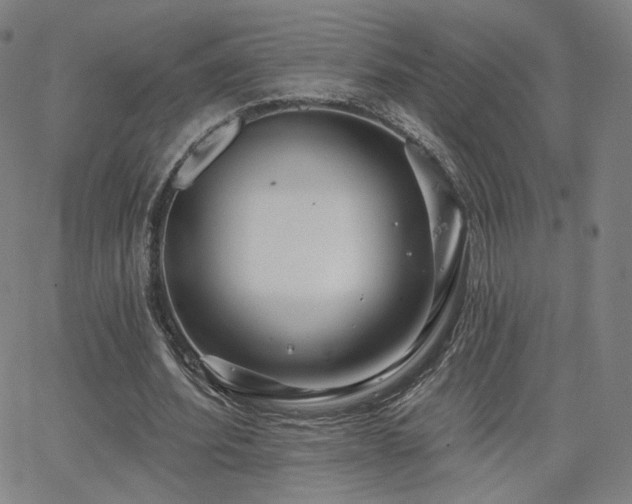 X0000063450580200601201222