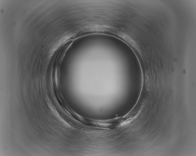 X0000063450581200601201222