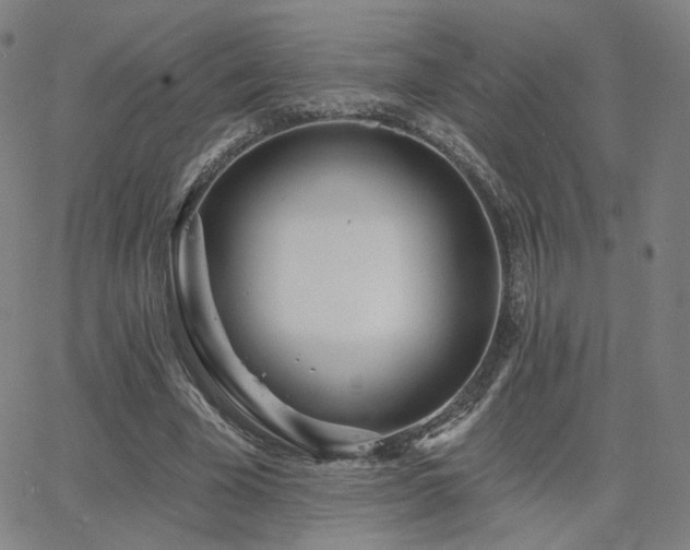 X0000063450585200601201222