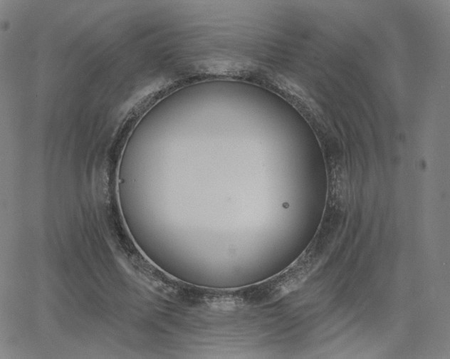 X0000063450587200601201222