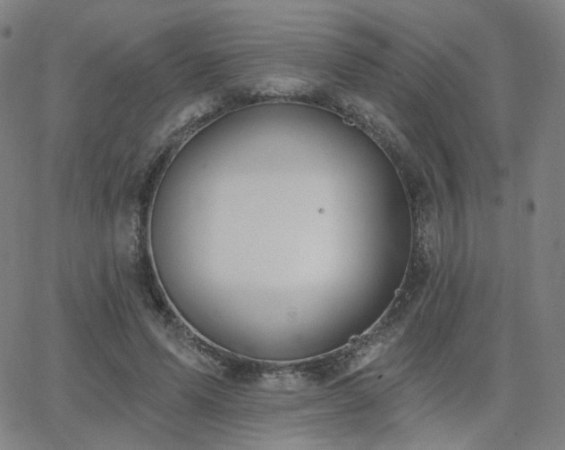 X0000063450591200601201222